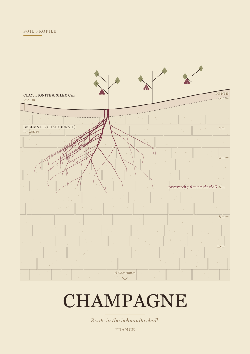 Champagne Terroir