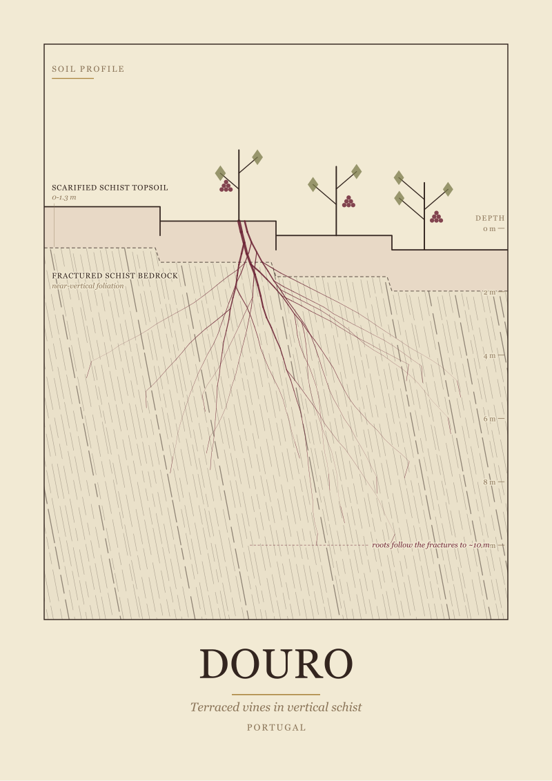 Douro Terroir